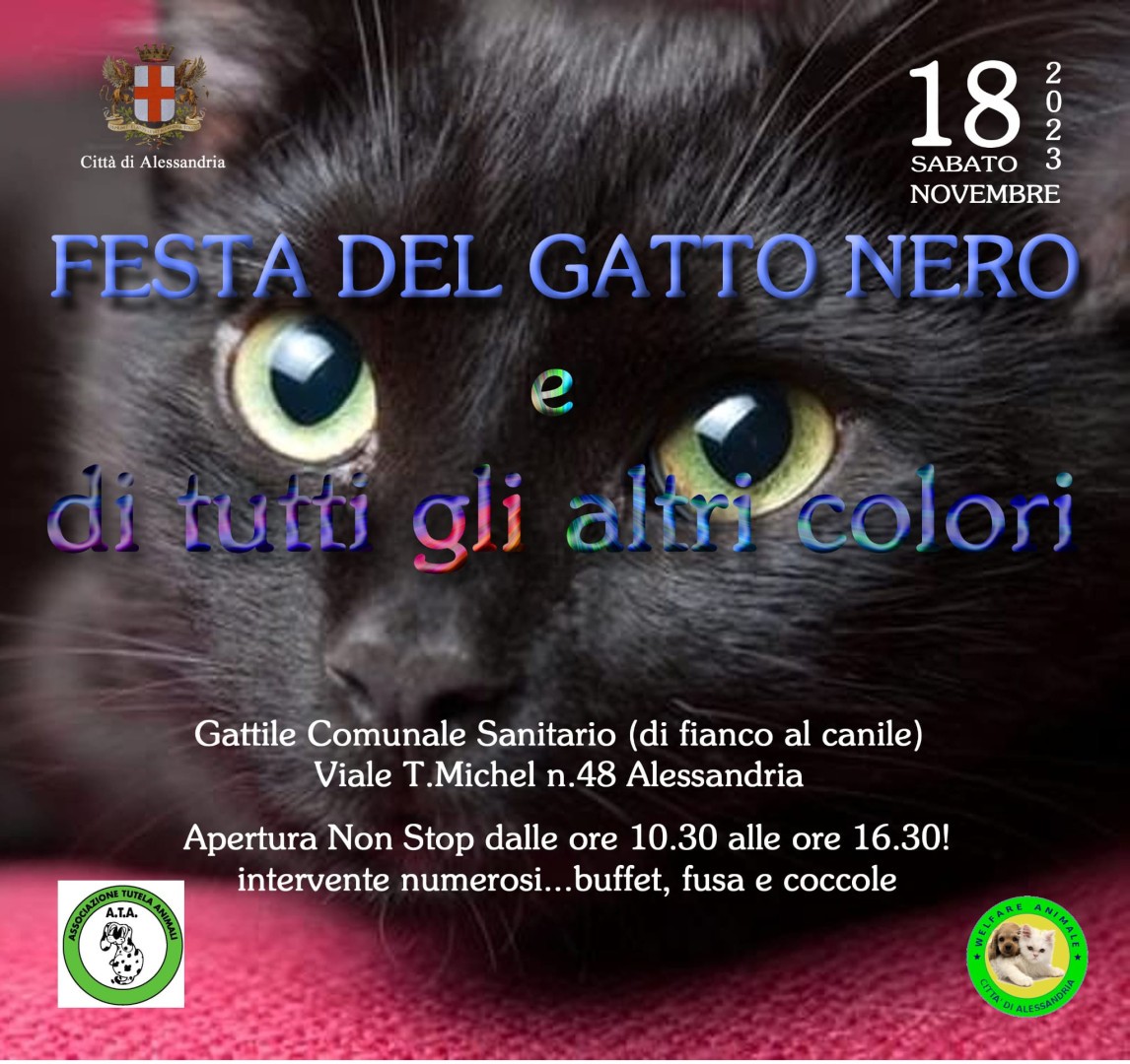 Il 17 novembre è la Giornata del Gatto Nero 